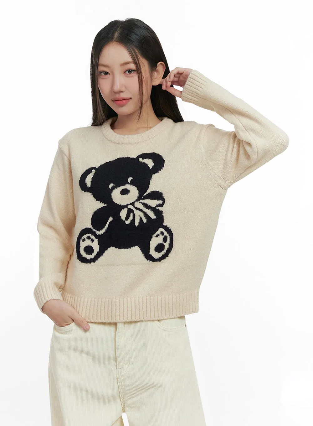 Cozy Long Sleeve Sweater IN415